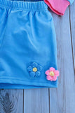 Flower embroidery blue short style pullover sweatshirt & short 2pc girls sets DLH2816 (A7S4)