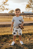 Western horse grey top & shorts boys boutique set DLH2896