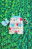 Toddler infant Crabs & rainbows sleeveless baby romper DLH2482 A14S3