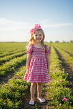 XCH03017 Pink plaid gathered & ruffles short sleeve cotton girls dress (A2S4)