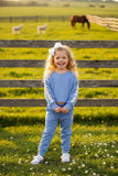 Blue long sleeve pullover top & pant 2pcs girls sets w/daisy DLH2815 ((A10S4)