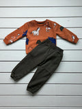 Animal printed winter sweatshirts 2pcs boy's clothing sets 250705M A15S1
